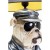 lampa Punk Dog, lampa Kare, lampa Dog, lampa Animal, lampa stołowa, lampa biurkowa, nowoczesna lampa, lampa do salonu