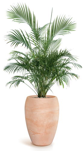 donica Cano, donica Ethick, donica z tworzywa, donica imitacja gliny, donica imitacja kamienia, donica na taras