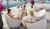 fotel Vela, fotel Plust, fotel z tworzywa, fotel outdoorowy, fotel na taras, fotel odporny na warunki atmosferyczne, meble ogrodowe, meble HoReCa