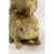 lampa stołowa Animal Hedgehog Family, lampa Kare, lampa do jadalni, lampa do salonu, lampa do biura, niekonwencjonalny design, lampa jeże