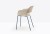 krzesło Babila, krzesło Pedrali, krzesło minimalistyczne, krzesło do jadalni, krzesło do kuchni, krzesło konferencyjne, nowoczesny design, włoski design