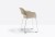 krzesło Babila, krzesło Pedrali, krzesło minimalistyczne, krzesło do jadalni, krzesło do kuchni, krzesło konferencyjne, nowoczesny design, włoski design