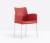 krzesło Ice, krzesło Pedrali, krzesło z tworzywa, krzesło do salonu, krzesło do jadalni, krzesło do kuchni, włoski producent, nowoczesny design, włoski design