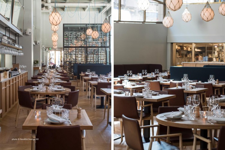 krzesło Malmo, krzesło Pedrali, krzesło drewniane, krzesło do jadalni, krzesło do kuchni, krzesło do restauracji, nowoczesny design, włoski design