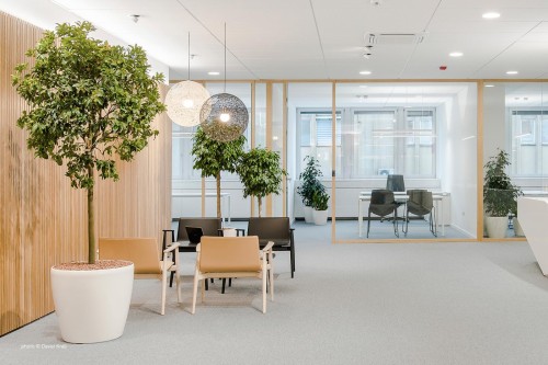 fotel Malmo, fotel Pedrali, fotel drewniany, fotel do salonu, fotel do sypialni, jesionowy fotel, wygodny fotel, nowoczesny design, włoski design