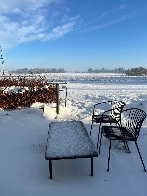 krzesło Amitha, styl industrialny, krzesło outdoor, krzesło do restauracji, minimalizm, trwałość, odporność na warunki, nowoczesny design, pręty stalowe, loft, meble komercyjne