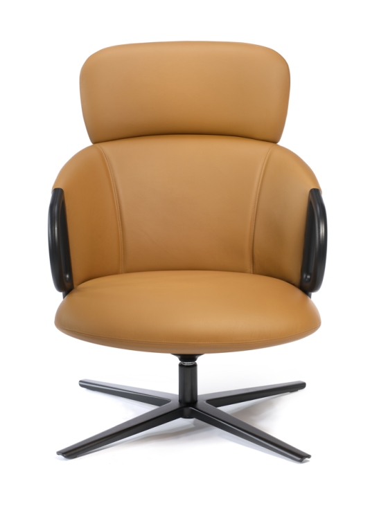 fotel Cucaracha, fotel obrotowy, fotel tapicerowany, fotel do sypialni, fotel do salonu, ergonomiczny fotel, fotel hotelowy, fotel do poczekalni, nowoczesny fotel, fotel Gaber