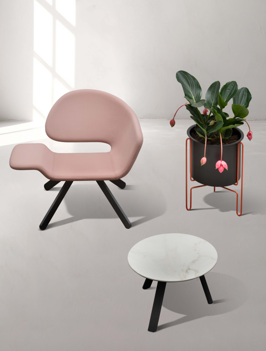 fotel Nali, fotel Gaber, fotel do salonu, nowoczesny fotel, ergonomiczny fotel, tapicerowany fotel, fotel do biura, włoski design