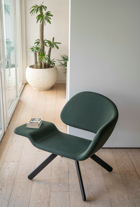 fotel Nali, fotel Gaber, fotel do salonu, nowoczesny fotel, ergonomiczny fotel, tapicerowany fotel, fotel do biura, włoski design