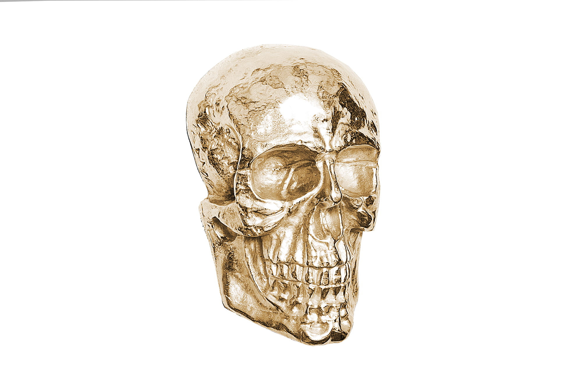 media_images_org_file0024662.jpg