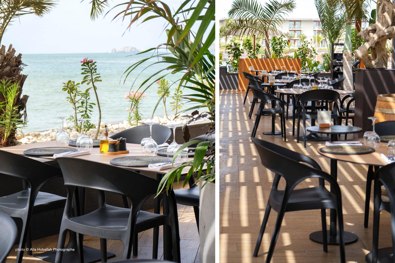 krzesło Gossip, krzesło Pedrali, krzesło z tworzywa, krzesło outdoorowe, krzesło na taras, krzesło do restauracji, krzesło włoskie, włoski design, nowoczesny design