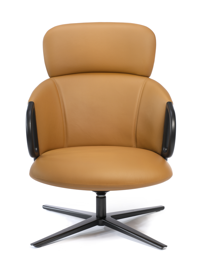 fotel Cucaracha, fotel obrotowy, fotel tapicerowany, fotel do sypialni, fotel do salonu, ergonomiczny fotel, fotel hotelowy, fotel do poczekalni, nowoczesny fotel, fotel Gaber