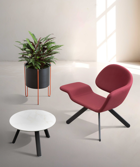 fotel Nali, fotel Gaber, fotel do salonu, nowoczesny fotel, ergonomiczny fotel, tapicerowany fotel, fotel do biura, włoski design